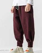 Load image into Gallery viewer, Joggers Techwear Pants - Clothing - Men