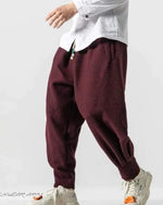 Load image into Gallery viewer, Joggers Techwear Pants - Clothing - Men